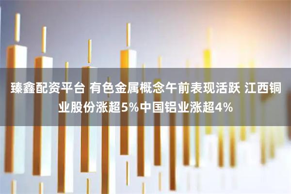 臻鑫配资平台 有色金属概念午前表现活跃 江西铜业股份涨超5%中国铝业涨超4%