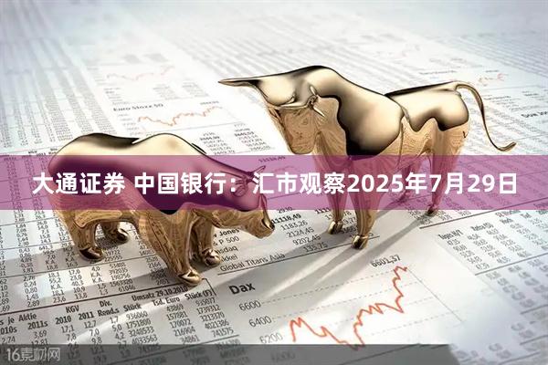 大通证券 中国银行：汇市观察2025年7月29日